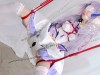 【惩戒学园】花嫁刻晴全集预告片 蒙眼堵嘴小姐姐在电动木马上直达巅峰 原神 COS 花嫁刻晴 蒙眼堵嘴 白丝高跟 电动木马 极限窒西 预告片