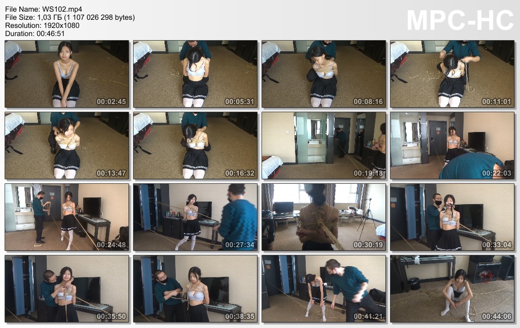 WS102.mp4_thumbs.jpg