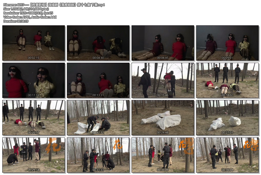 6057----【胜景影视】连续剧《落难姐妹》第十七集 下集.jpg