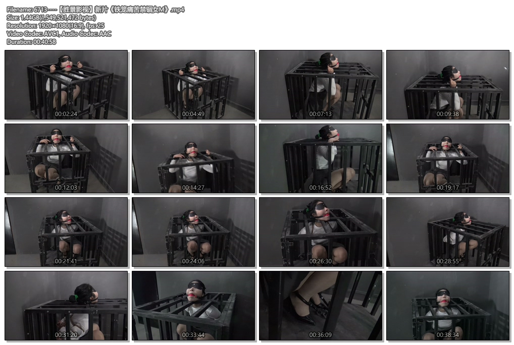 6713----【胜景影视】新片《铁笼痛苦禁锢女M》.jpg