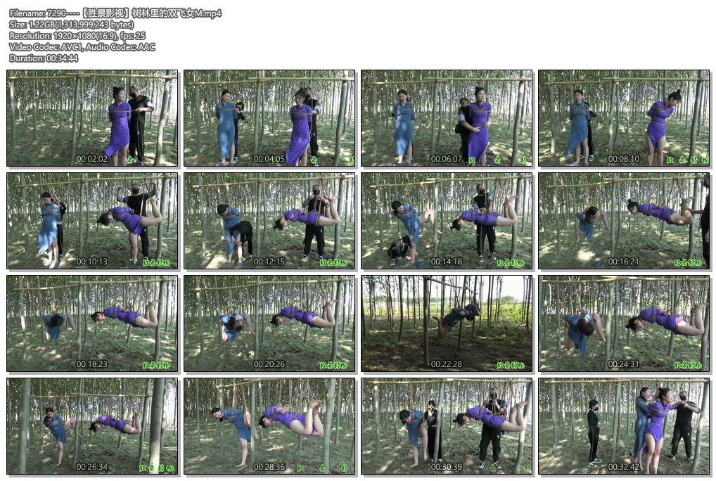 7290----【胜景影视】树林里的双飞女M.jpg