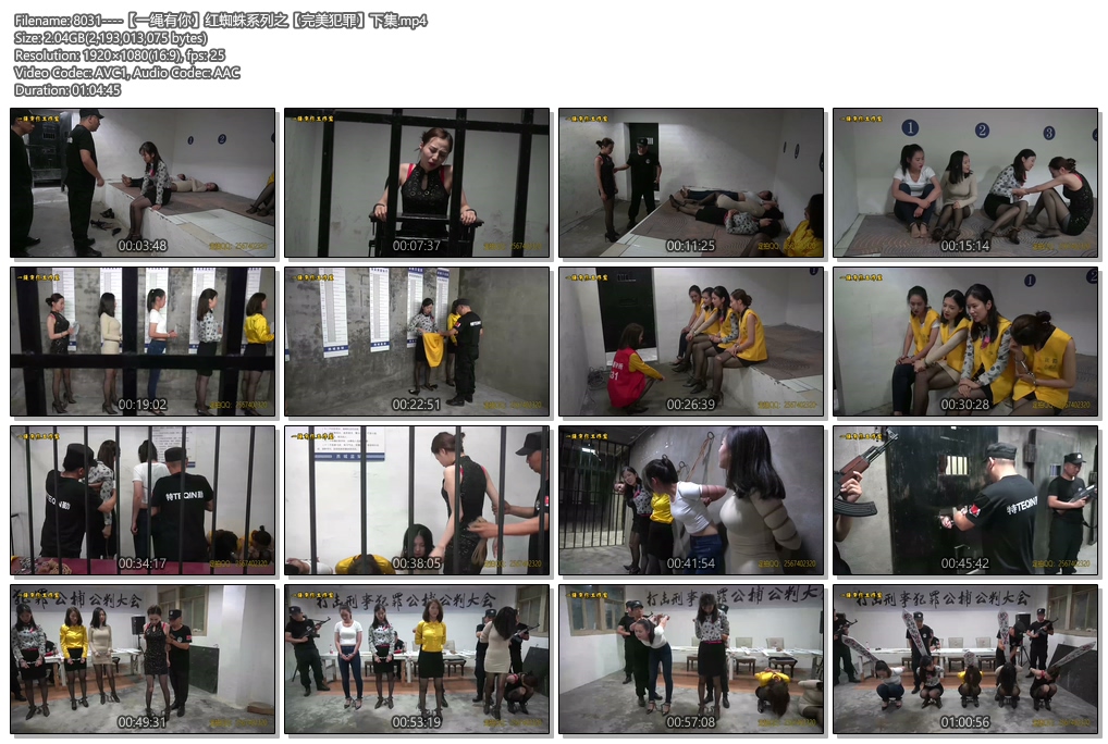 8031----【一绳有你】红蜘蛛系列之【完美犯罪】下集.jpg