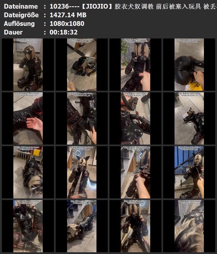 10236----【JIOJIO】胶衣犬奴调教 前后被塞入玩具 被丢在厕所里.jpg