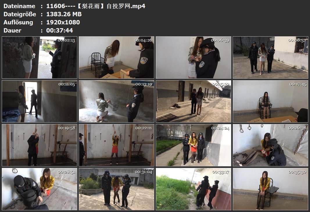 11606----【梨花雨】自投罗网.jpg