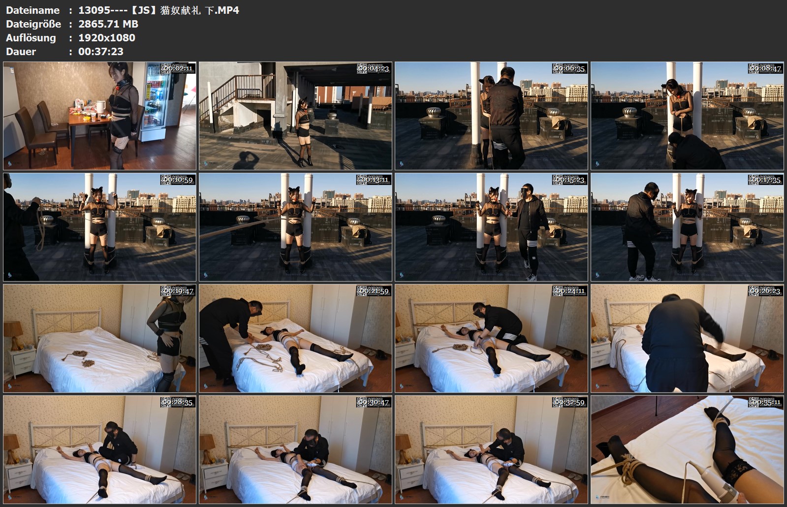 13095----【JS】猫奴献礼 下.jpg