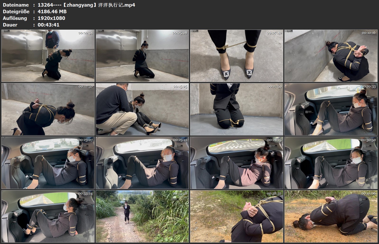 13264----【zhangyang】洋洋执行记.jpg