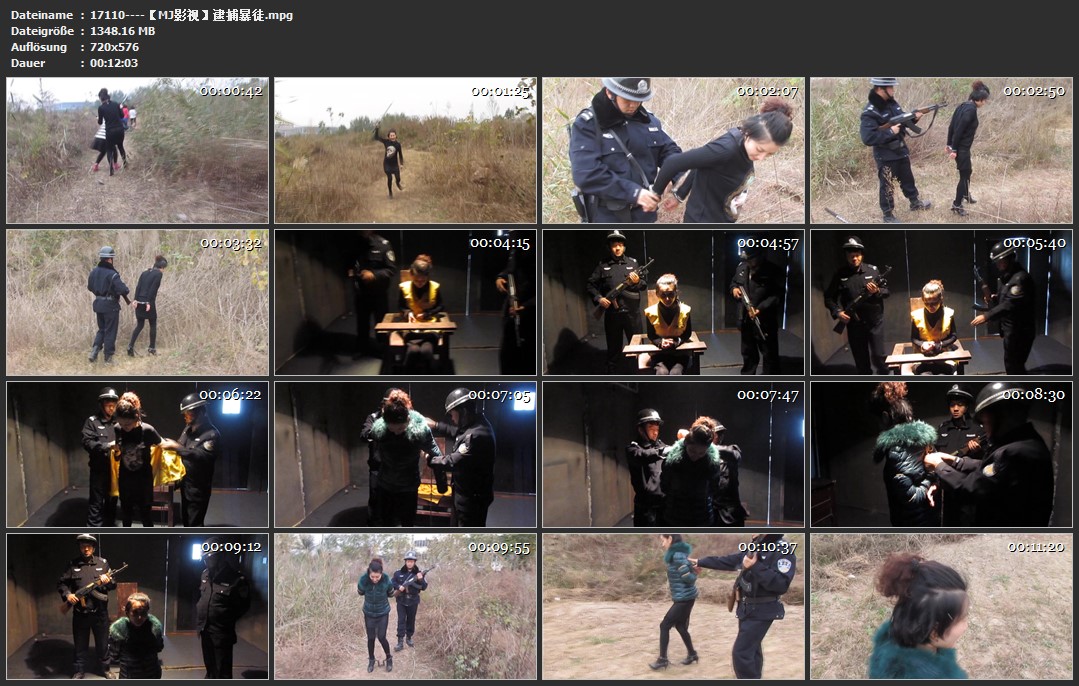 17110----【MJ影视】逮捕暴徒.jpg
