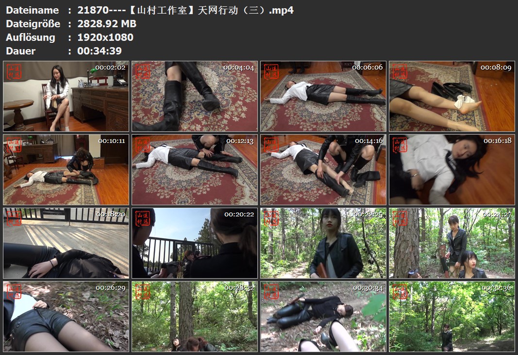 21870----【山村工作室】天网行动（三）.jpg