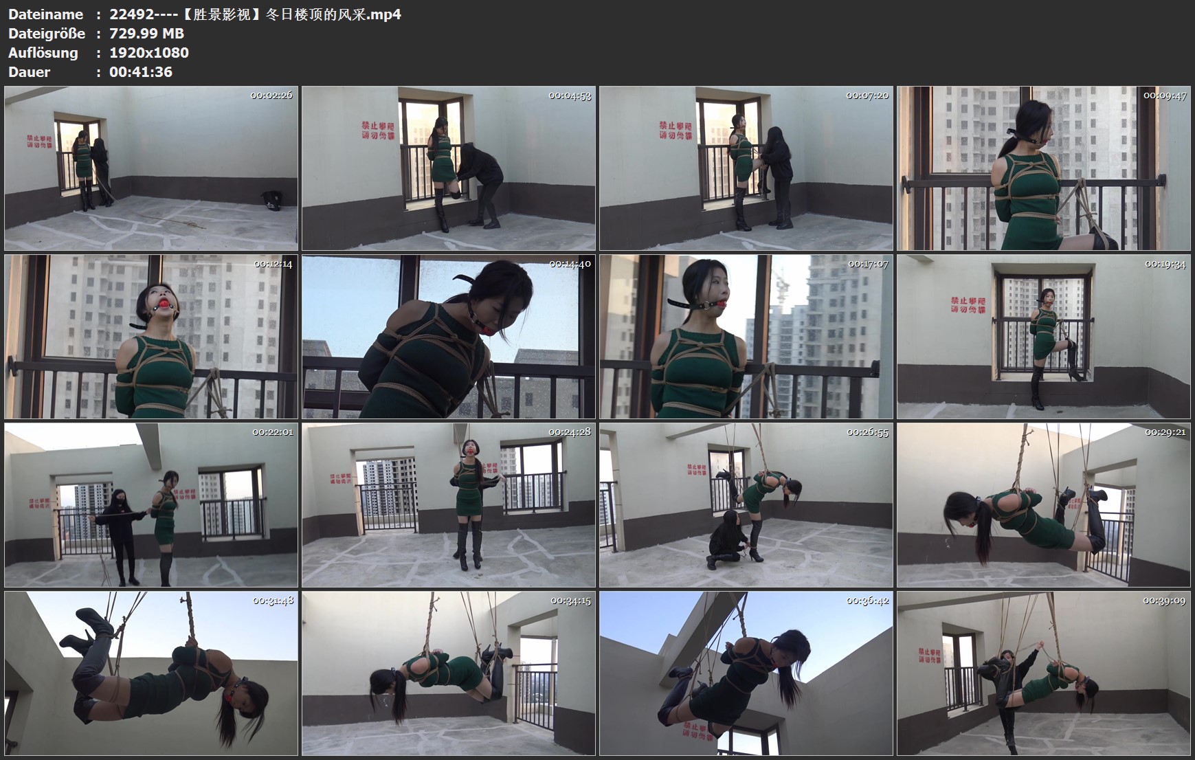 22492----【胜景影视】冬日楼顶的风采.jpg
