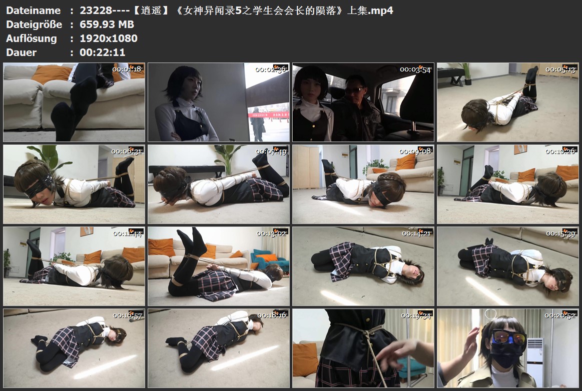 23228----【逍遥】《女神异闻录5之学生会会长的陨落》上集.jpg