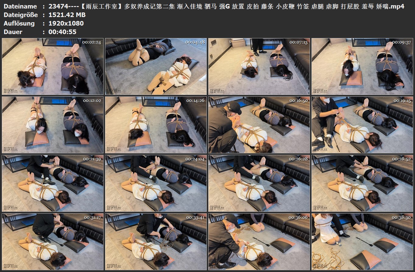 23474----【雨辰工作室】多奴养成记第二集 渐入佳境 驷马 强G 放置 皮拍 藤条 小皮鞭 .jpg