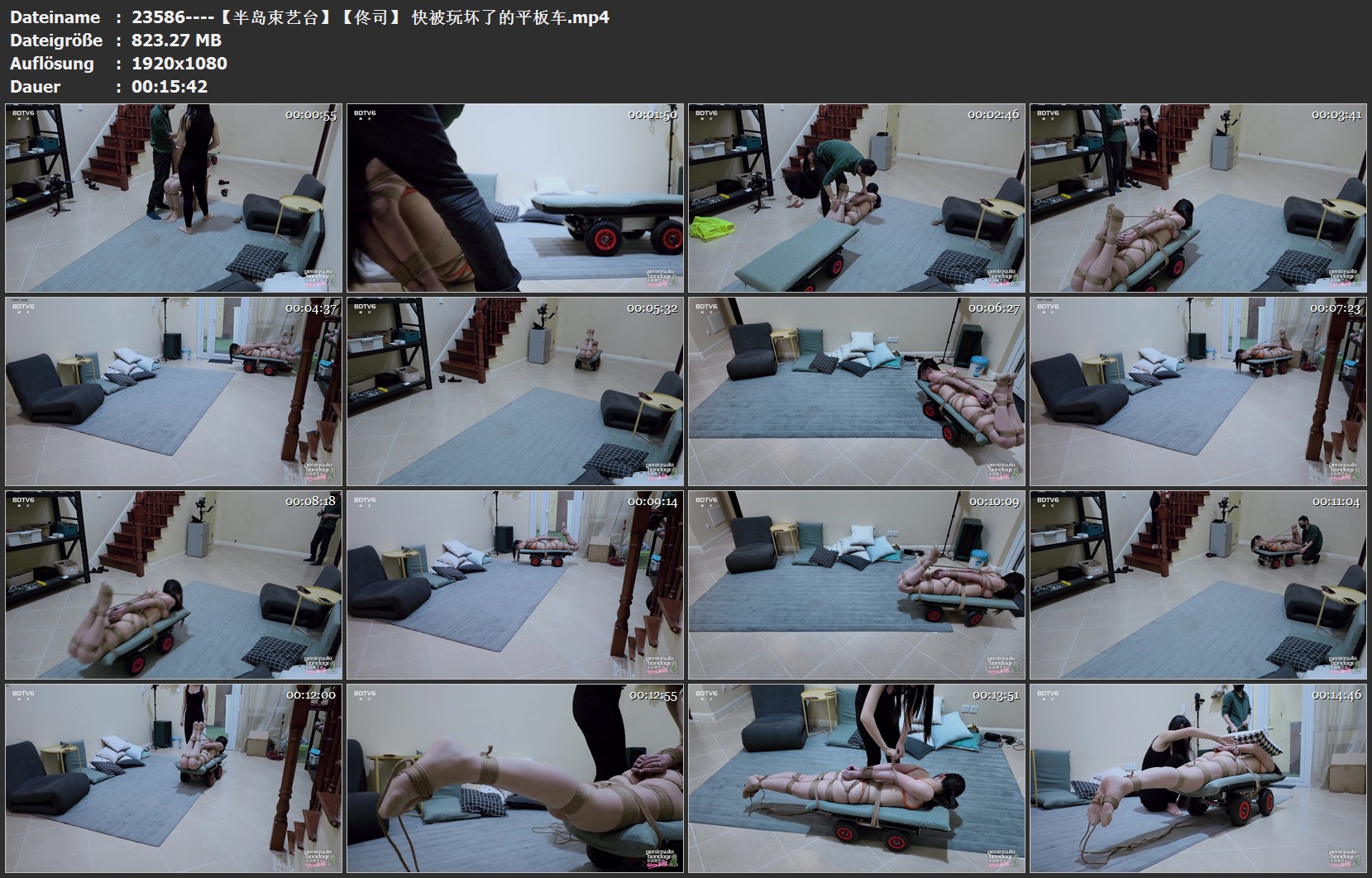 23586----【半岛束艺台】【佟司】 快被玩坏了的平板车.jpg