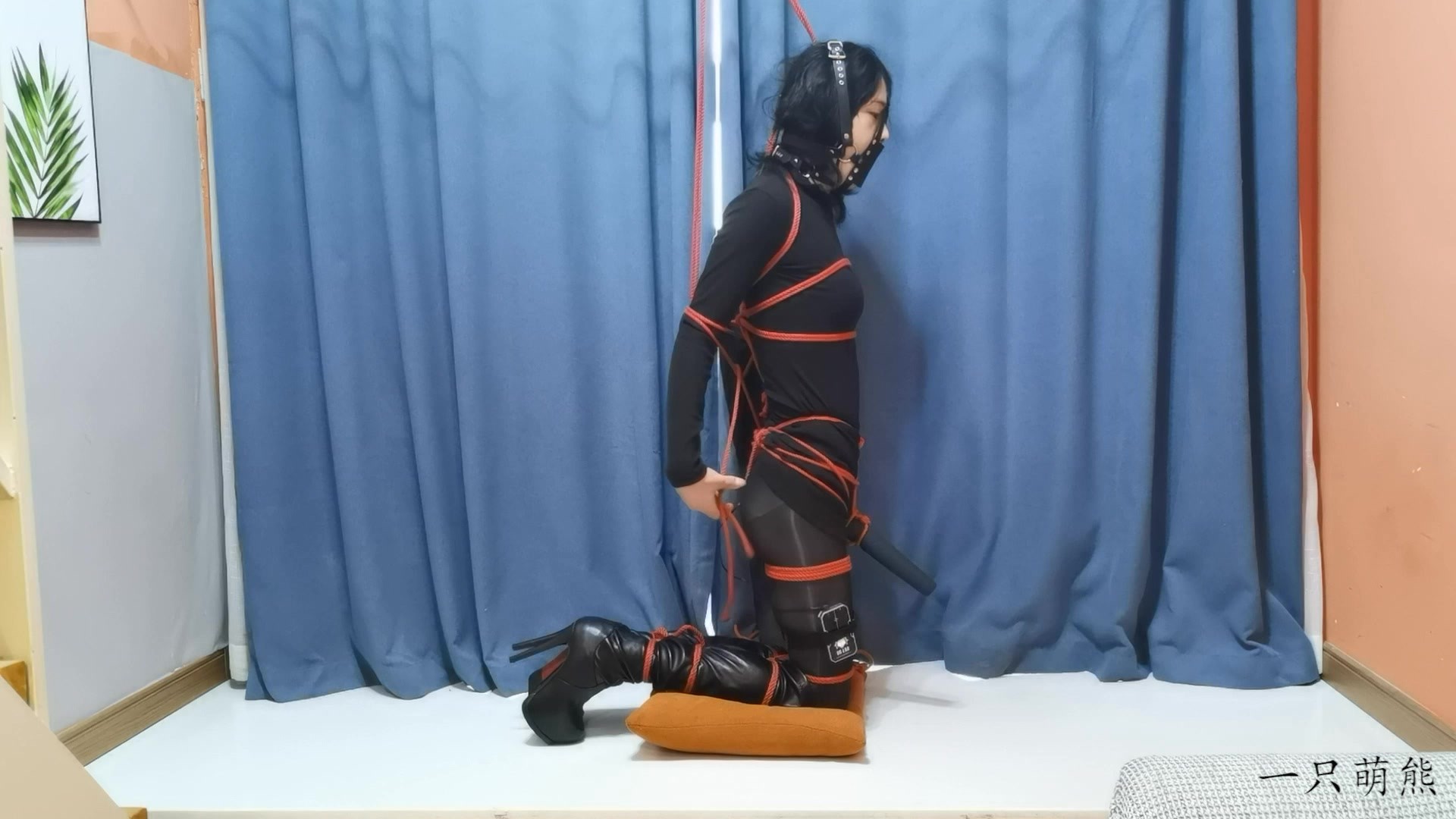 27558----.0011.jpg
