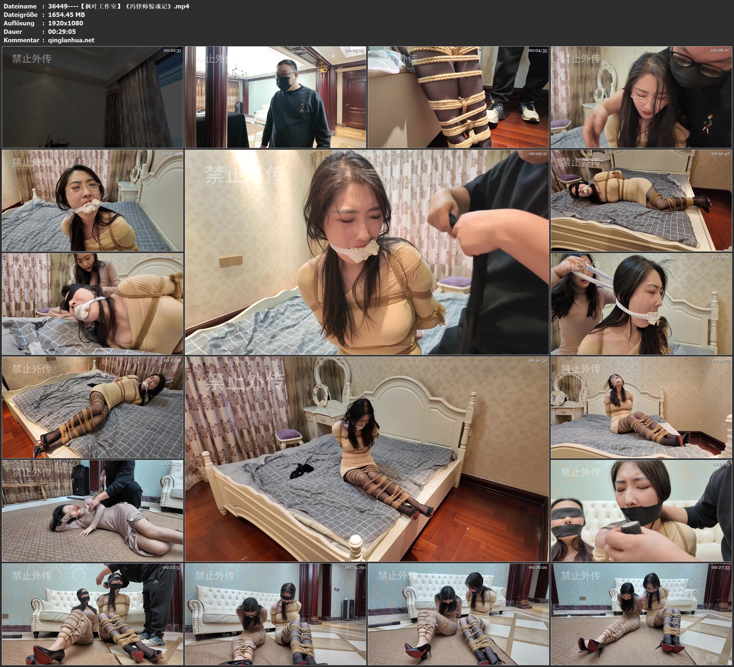 36449----【枫叶工作室】《冯律师惊魂记》.jpg
