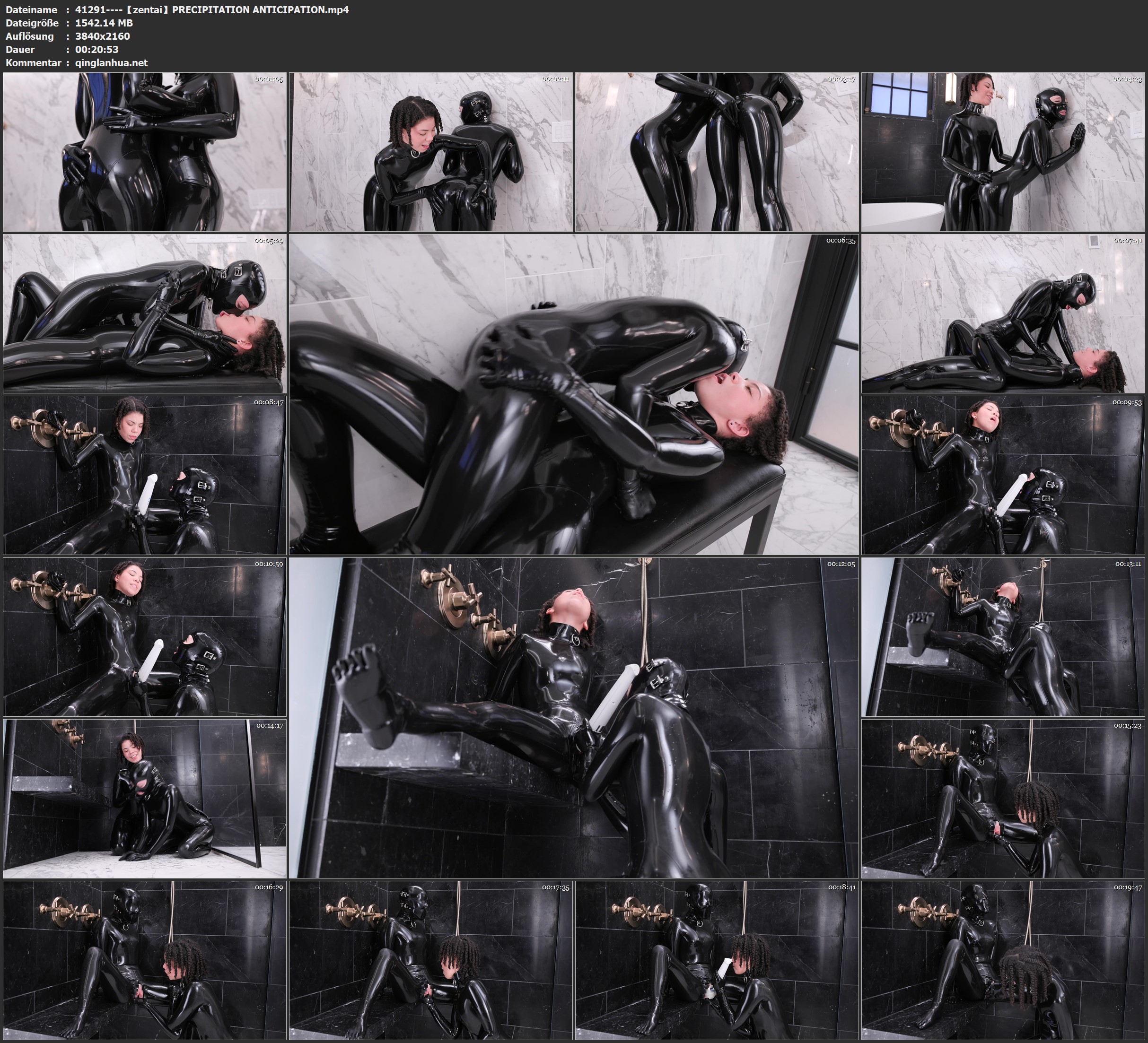 41291----【zentai】PRECIPITATION ANTICIPATION.jpg