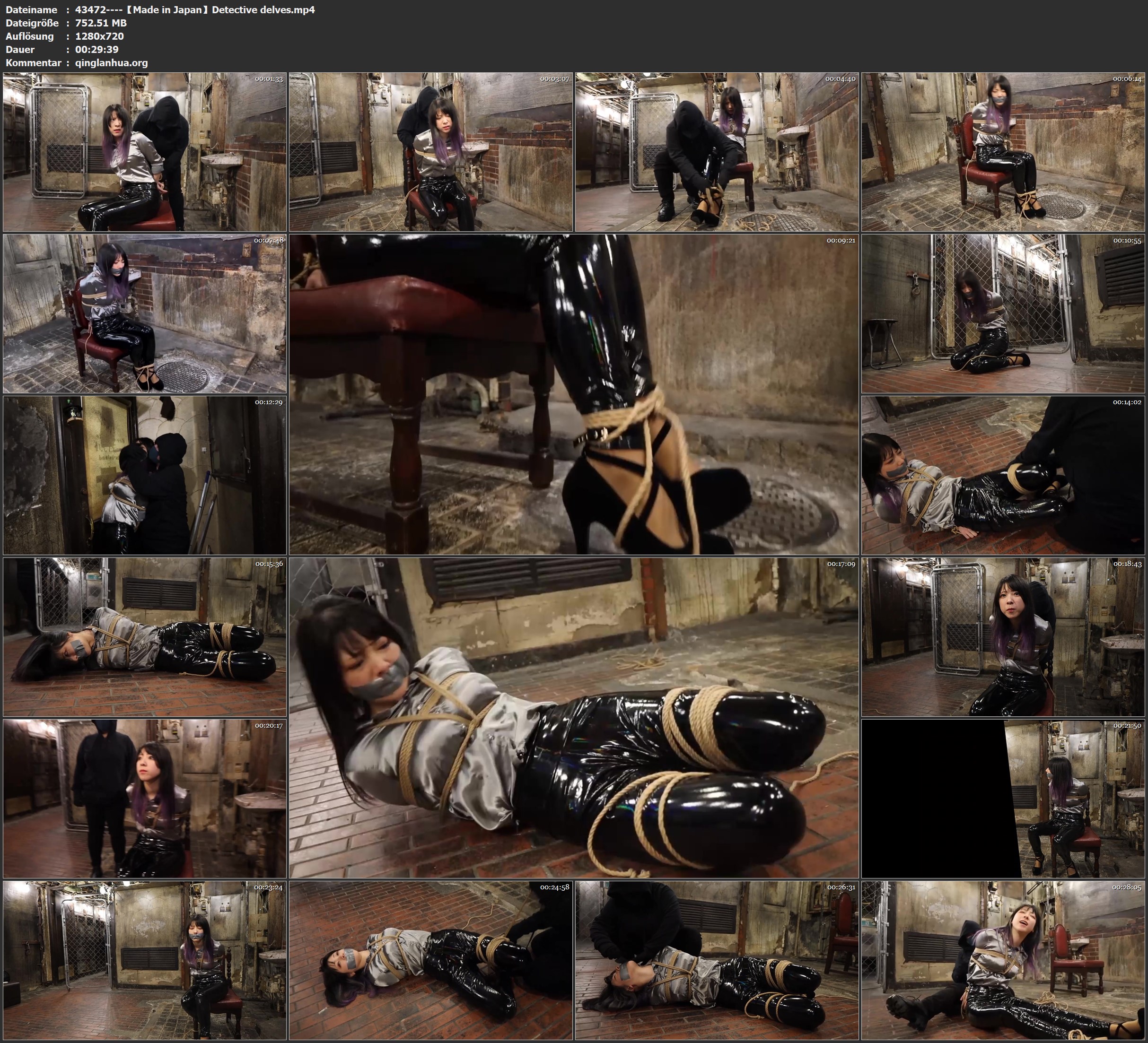 43472----【Made in Japan】Detective delves.jpg