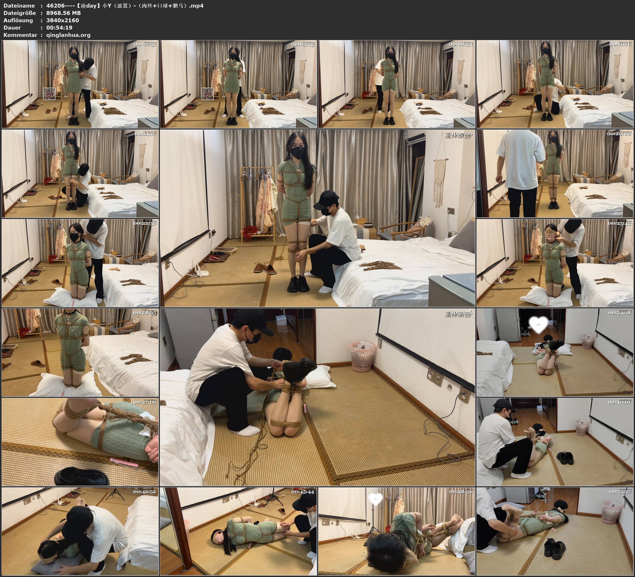 46206----【凌day】小Y（放置）-（肉丝 口球 驷马）.jpg