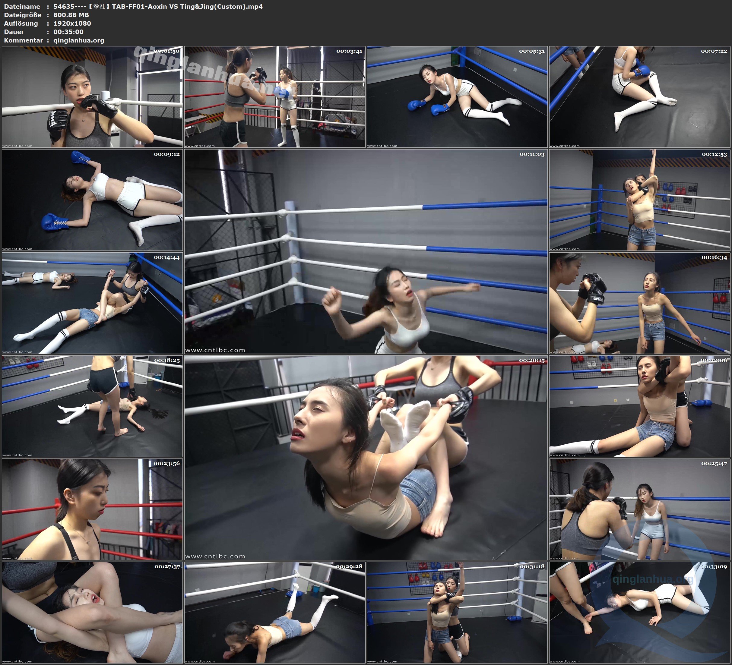 54635----【拳社】TAB-FF01-Aoxin VS Ting&Jing(Custom).jpg