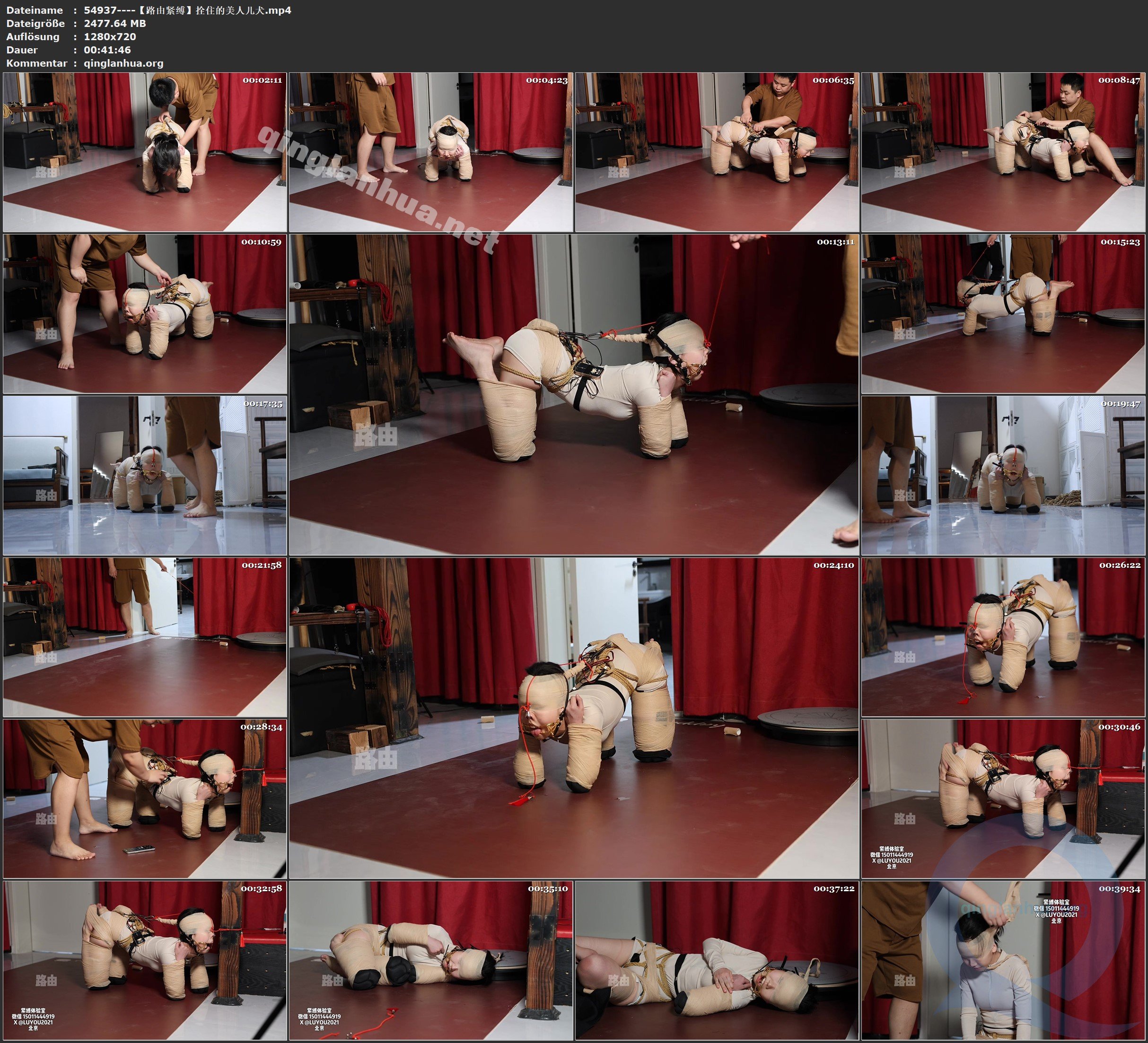 54937----【路由紧缚】拴住的美人儿犬.jpg