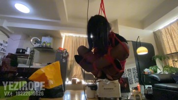 【野子绳社】海老吊缚，自己把自己绑成粽子吊起来，然后用快递袋打包好发走！